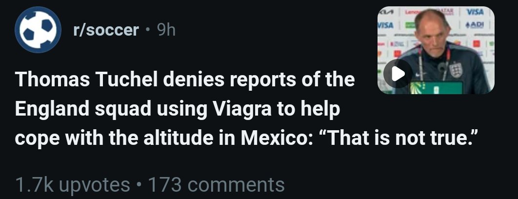🦏 tweet media