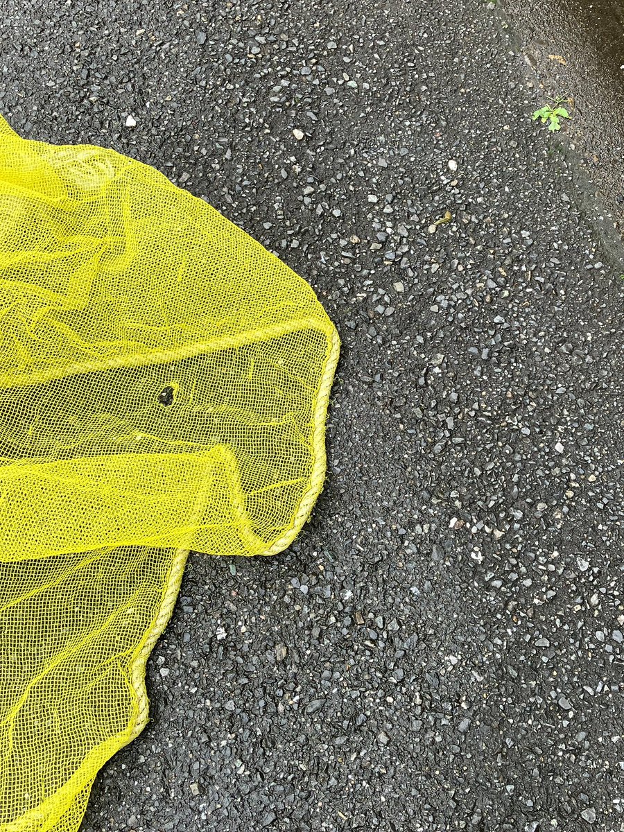 yow_f's tweet photo. scape of yellow.
at 赤羽
［2026.7.3］ https://t.co/oySP1t3Wua