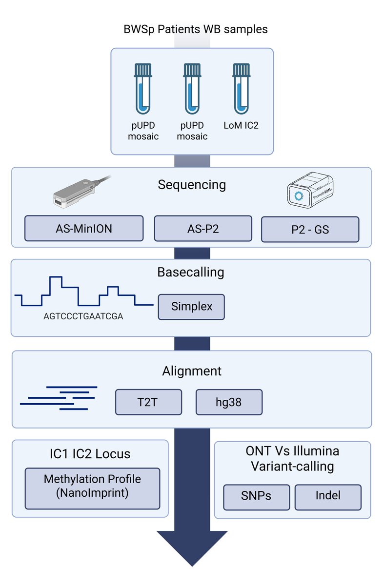 benagen3571's tweet photo. Targeted long-read sequencing with adaptive sampling enables the integrated genomic and epigenomic profiling of imprinting disorders. #nanopore #AS #methylation  #SV  https://t.co/YnqfqvHTV4 https://t.co/lDLYj4GuLG