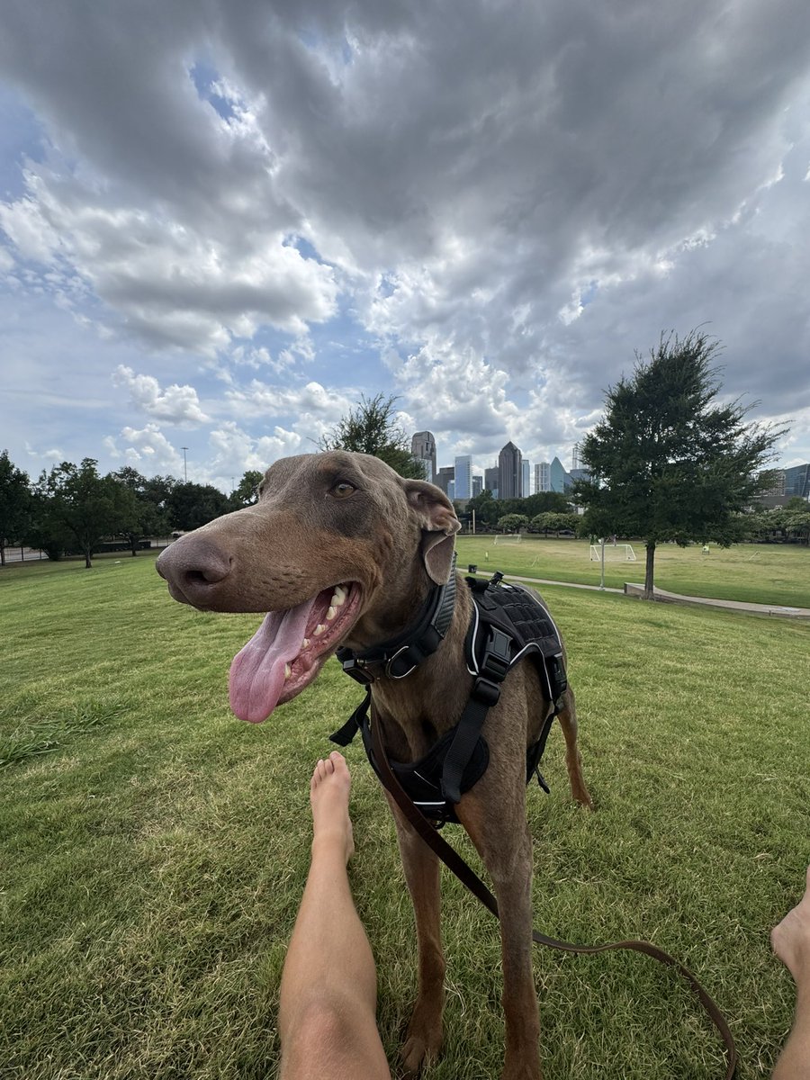 Chase Senior tweet media