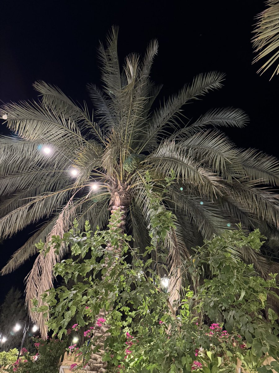 en9af_'s tweet photo. #عشوائيات https://t.co/6m8c81cyEK