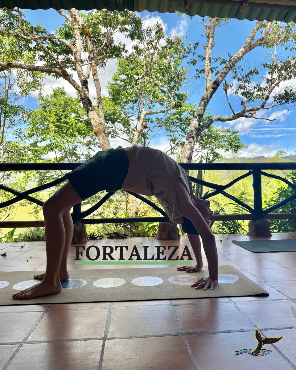 gabrielmindful's tweet photo. Presencia 🧘‍♂️
Apertura 🍃
Fortaleza 💪
Equilibrio ⚖️

Cuatro recordatorios de que viajar no es solo descubrir el mundo, sino también redescubrirnos a nosotros mismos. 🌎🐋✨

Un respiro, un viaje, un momento a la vez.

#MindfulTravel #TurismoConsciente #YogaJourney #WellnessTravel https://t.co/vfA0xryr9V