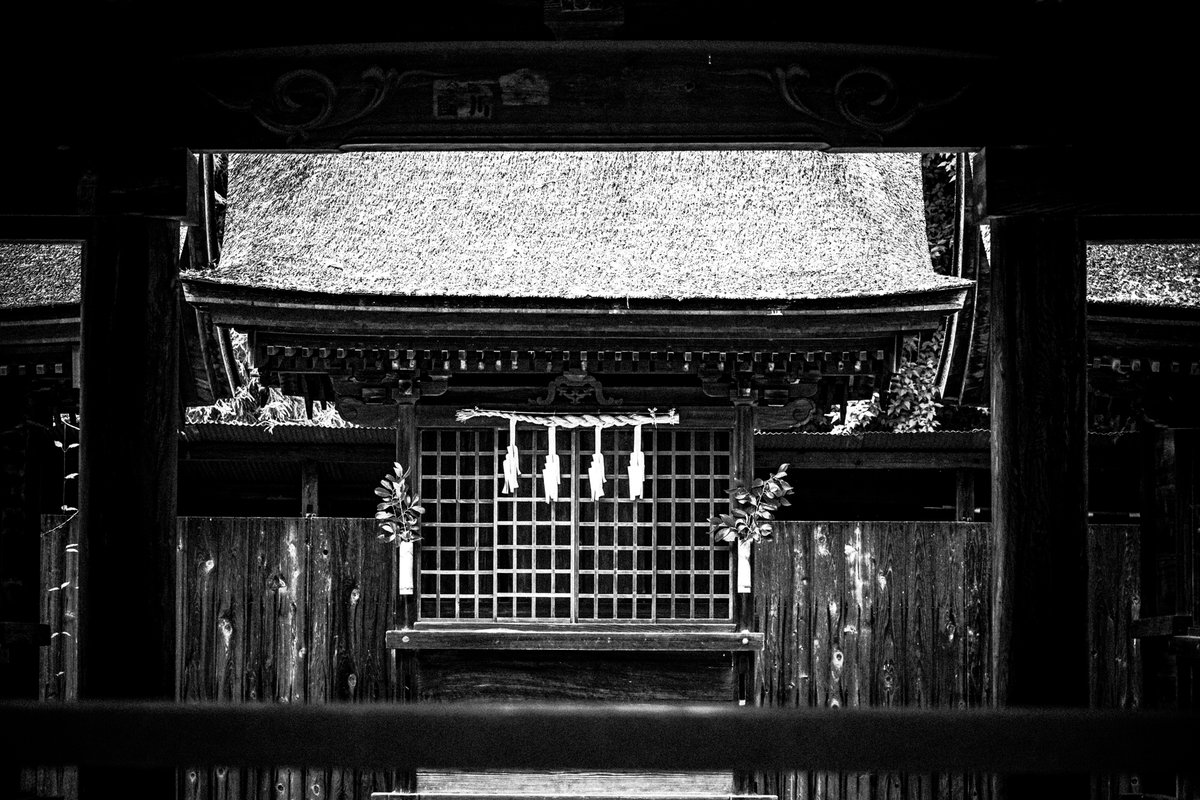 TakumiCamera_P's tweet photo. 静かなる場所

#ShintoShrine #JapaneseArchitecture #ThatchedRoof https://t.co/4LvZO1RfBe