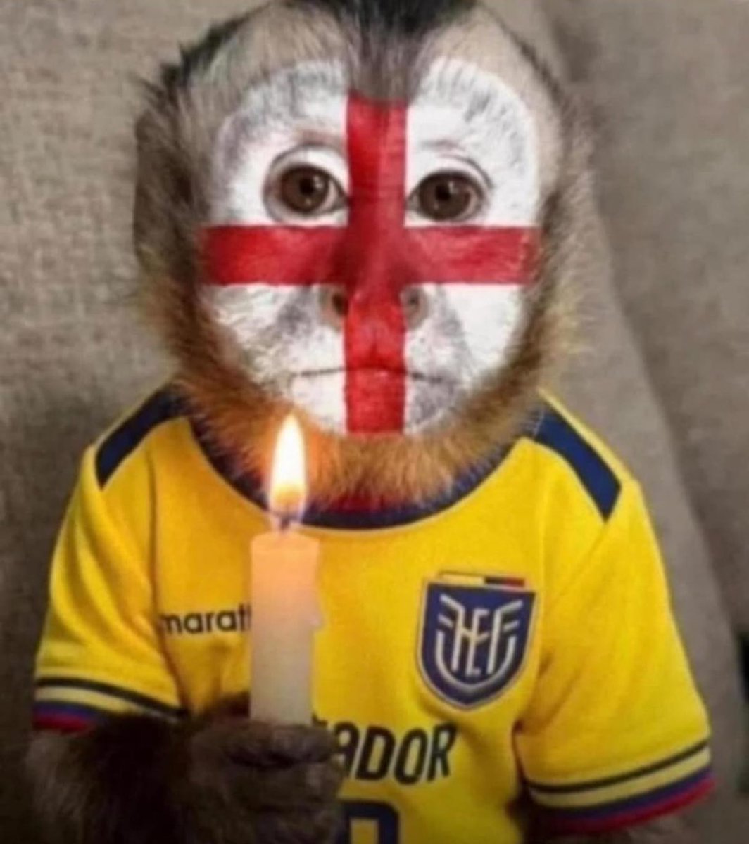 DaniEgas28's tweet photo. Hoy todos somos Inglaterra 🏴󠁧󠁢󠁥󠁮󠁧󠁿💪 https://t.co/guPIBh6Buc
