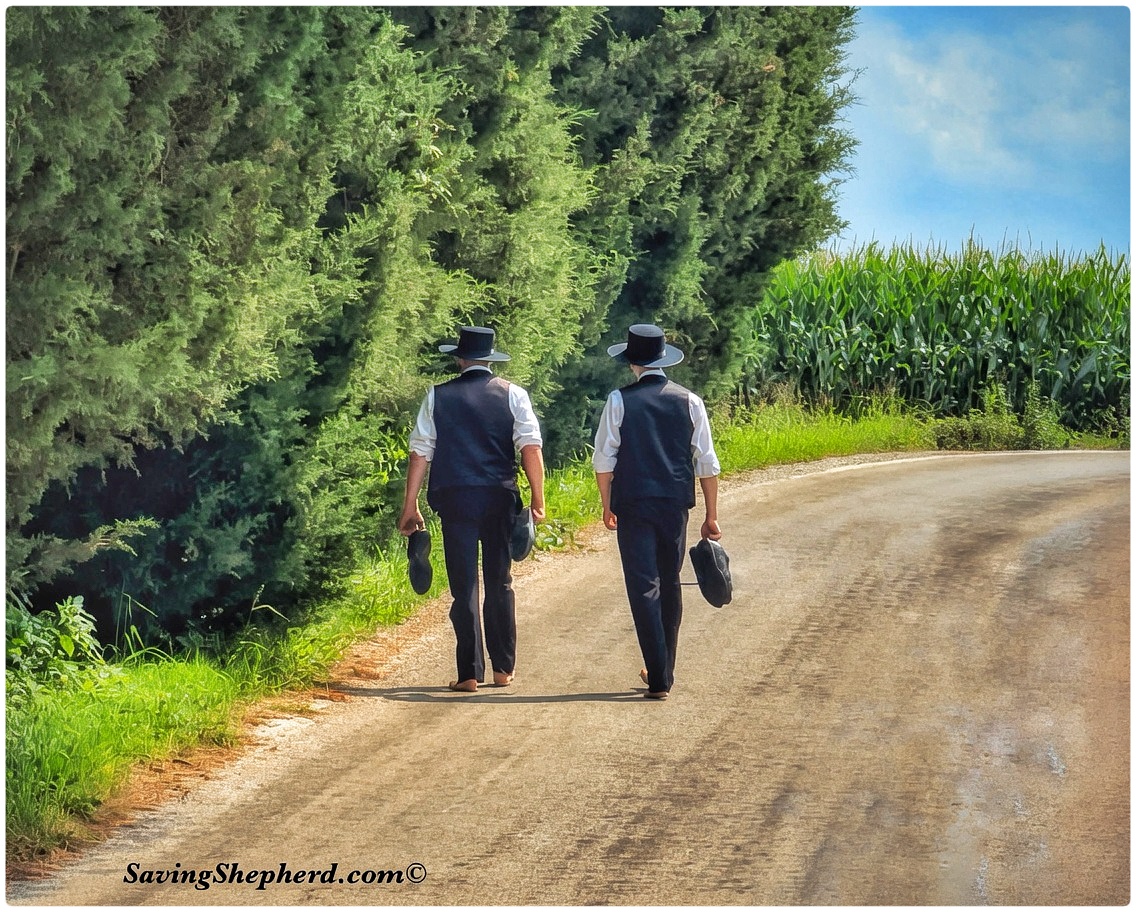 SavingShepherd's tweet photo. Today's Truth
“It’s easy 2 talk if ur not in those shoes.”
#Amish #proverb
#experience #perspective #quoteoftheday #SavingShepherd #photooftheday #motivation #bekind #life #journey #inspiration #quotes #simplelife #photography #country #landscape #countrylife #travel #USA 🇺🇸 https://t.co/2FU9oKPcrQ