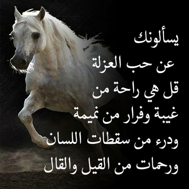 7al0om's tweet photo. https://t.co/M2F6RD0npS