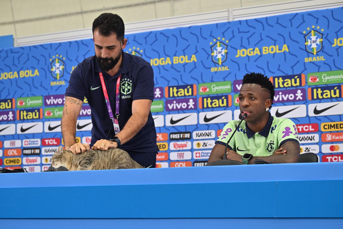 DiarioOle's tweet photo. SIGUE LA MALDICIÓN DEL GATO PARA BRASIL ❌🐈🇧🇷

Desde entonces:

❌ AFUERA contra Croacia en cuartos de final del Mundial de Qatar 2022 
❌ RENUNCIÓ Tité
❌ Neymar se rompió los LIGAMENTOS y estuvo dos años sin jugar con la selección
❌ PERDIÓ el INVICTO histórico de local por Eliminatorias contra ARGENTINA
❌ ECHARON a otro DT: Fernando Diniz
❌ PERDIÓ tres partidos seguidos por Eliminatorias por primera vez
❌ No se clasificaron a los JUEGOS OLÍMPICOS quedando afuera ante Argentina
❌ AFUERA en cuartos de final de la Copa América 2024 a manos de Uruguay
❌ DERROTA 0-6 con Argentina en el Sudamericano Sub20; la PEOR en su HISTORIA en la categoría
❌ DERROTA 1-4 vs. ARGENTINA en el Monumental por Eliminatorias
❌ AFUERA otro DT: Dorival Júnior
❌ AFUERA en OCTAVOS de final de un Mundial (vs. Noruega) por primera vez en 36 AÑOS