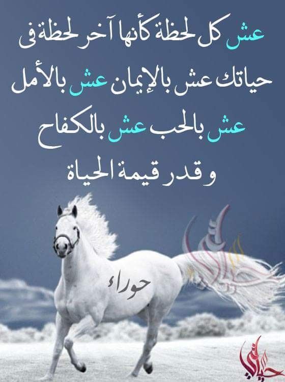 7al0om's tweet photo. https://t.co/9ACmheKvln