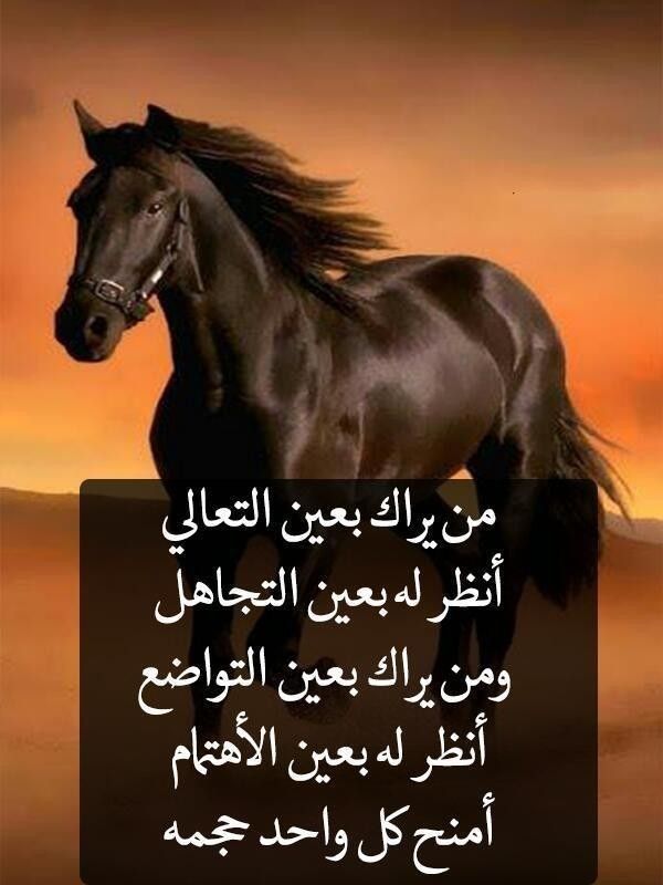 7al0om's tweet photo. https://t.co/A3oemCmidV