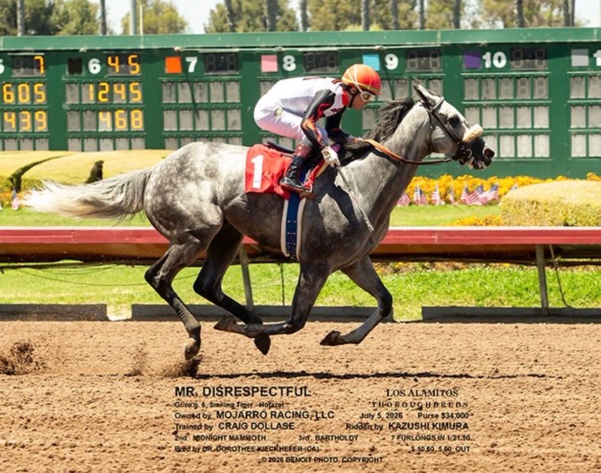 Cougzag's tweet photo. Another gray winner on the day for @kazushi0096 as #MRDISRESPECTFUL takes R3 @losalracing . Thank you to trainer Craig Dollase and his crew for the winner . #MojarroRacing @benoitphoto_ https://t.co/RFCrSHutqm