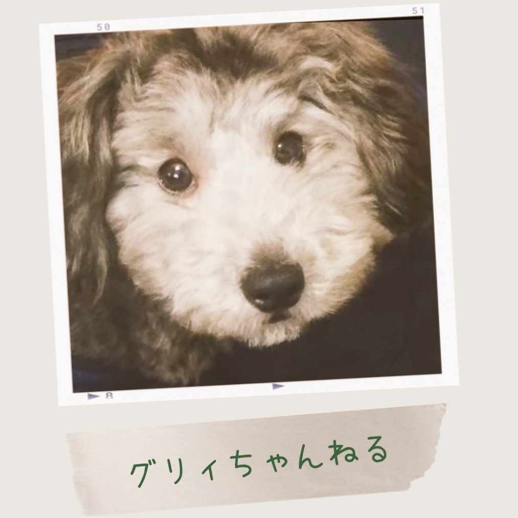 LaCj3vynw0PMJSt's tweet photo. @0issei さま

お誕生日おめでとう
ございます。☕🎂
素敵な一年を。。。

#グリィちゃんねる https://t.co/UDUtkoKoCn