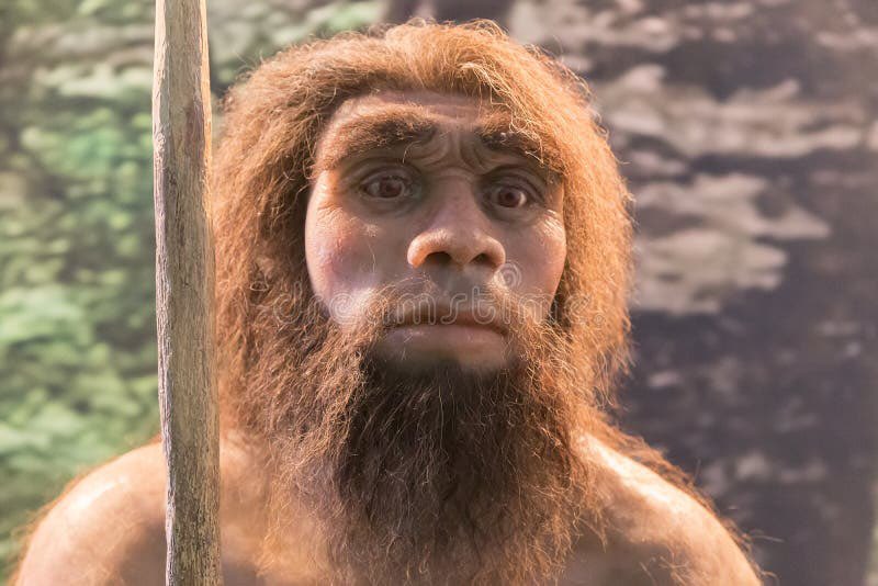 DumpFred's tweet photo. @ErlingHaaland @vidsthatgohard Dude, you should grow a beard. https://t.co/TEqDlhIwwE