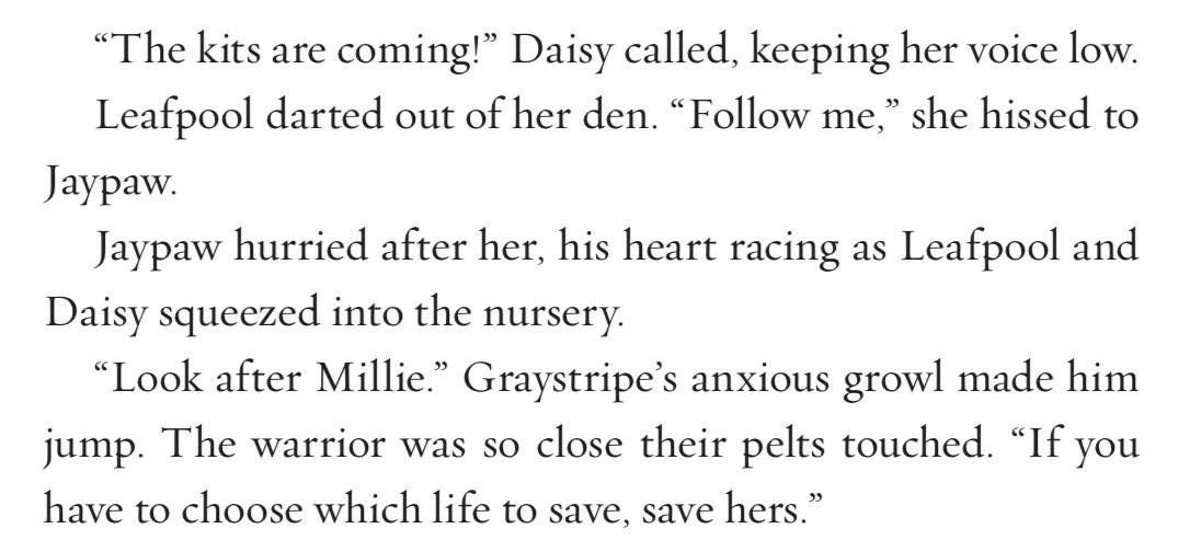 protagfolly's tweet photo. BREAKING NEWS: Graystripe is canonically pro-choice. #yup #iknowdatsright https://t.co/pwOXIatVe8