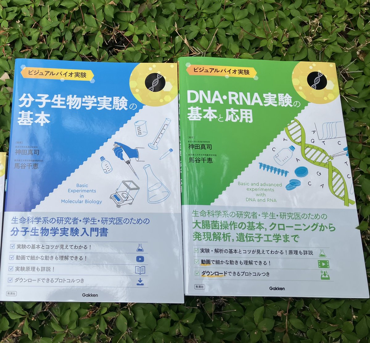 gakken_medical's tweet photo. 新刊📗🧬
ビジュアルバイオ実験　DNA・RNA実験の基本と応用
好評発売中です💓

バイオ実験イラストレイテッドの令和版！🦋

本シリーズ「分子生物学実験の基本」と同様、
購入後↓をいつでも利用いただけます🤜🏻🤛🏻
・DLできるプロトコル
・動画
・カンタン試薬計算サイト
＃DNA　＃核酸　＃研究室 https://t.co/209JmHX7S7
