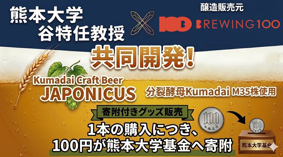kumamotoUniv_PR's tweet photo. 🎉本日7/6(月)発売！🎉
#熊本大学 谷特任教授研究グループ×BREWING 100の寄附付きクラフトビール「Kumadai Craft Beer JAPONICUS」🍺
芳醇な吟醸香と奥深い味わいをこの夏の乾杯に。
売上の一部は学生支援＆教育研究支援に寄附されます🎓
 熊大生協 学生会館ショップ(#熊大 黒髪北地区)でぜひ！ https://t.co/wlJPhOAqBb