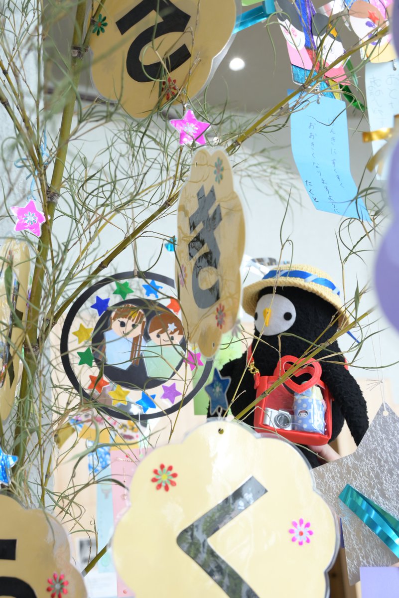 jozurusan's tweet photo. 明日は七夕🎋
市役所ロビーでは、市内幼稚園園児たちの願いが込められた七夕飾りが飾られているよ🌟
じょうづるさんの願い事は～…秘密🤫
みんなの願いが叶いますように😊
願いすぎ～🙏

＃七夕　
＃七夕飾り
＃願い事 
＃短冊 https://t.co/cgWjGe0GZi