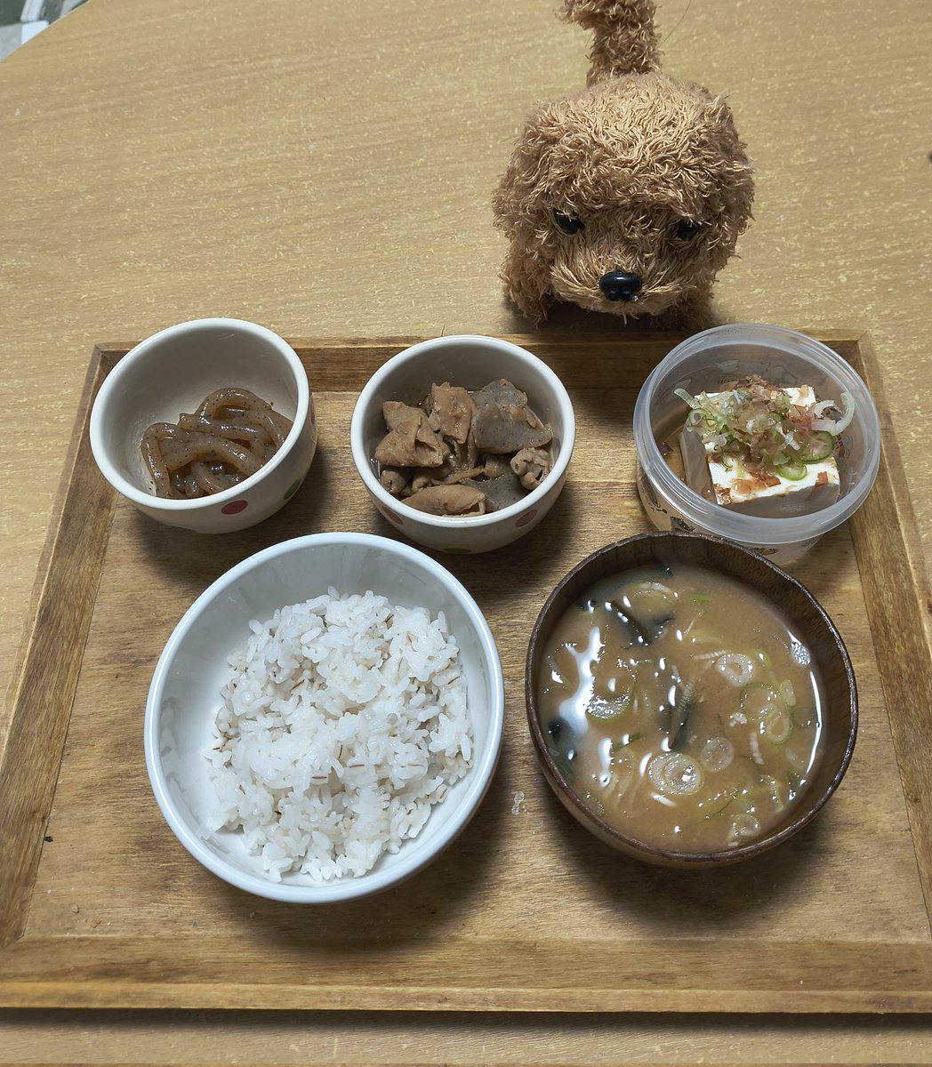 thealfee691's tweet photo. 昨日の朝ごはんは
モツ煮、こんにゃく炒め���冷奴、麦飯＆ネギとわかめの味噌汁

昼ごはんはぶっかけうどん、コンビニで買った豚しゃぶサラダとゆでたまご

今朝は野菜炒めのたまごとじ、厚揚げ煮、こんにゃく炒め、麦飯＆ネギの味噌汁

今日は職場の仲良しとランチ会〜👏 https://t.co/kEpDaz3uCI