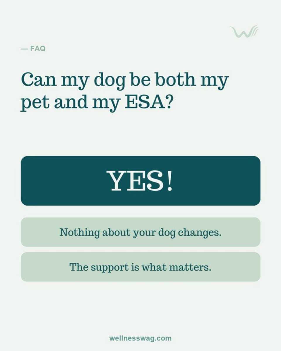 WellnessWag's tweet photo. Your dog can be your best friend AND your ESA β nothing changes about them. The designation just adds housing protections. π https://t.co/Y0fjn9b6M7 #ESALetter #DogsOfInstagram https://t.co/N1grWLBFyx