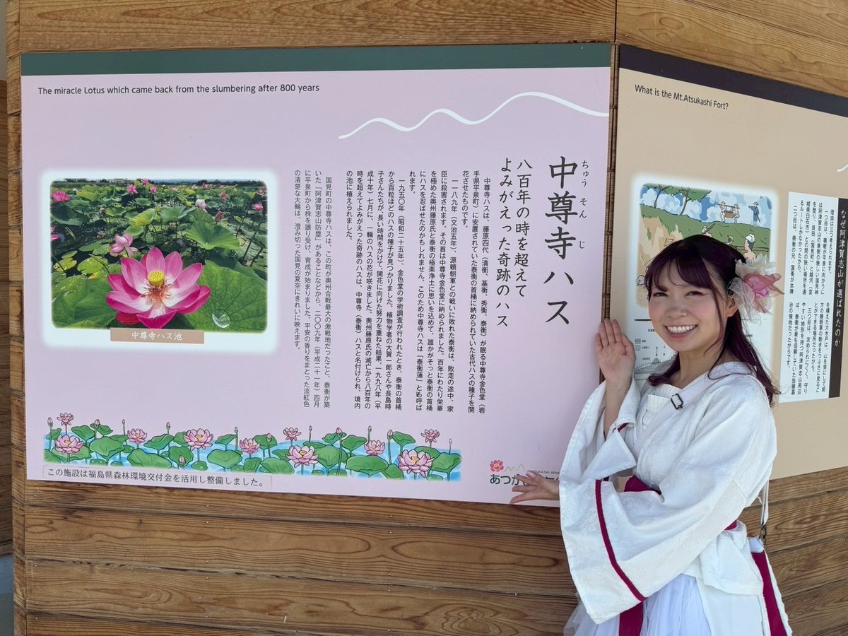 蓮季様確認ページ 華です🌸 #中尊寺ハス が見頃です✨ 7/26(日)まで #くにみ蓮まつり2026