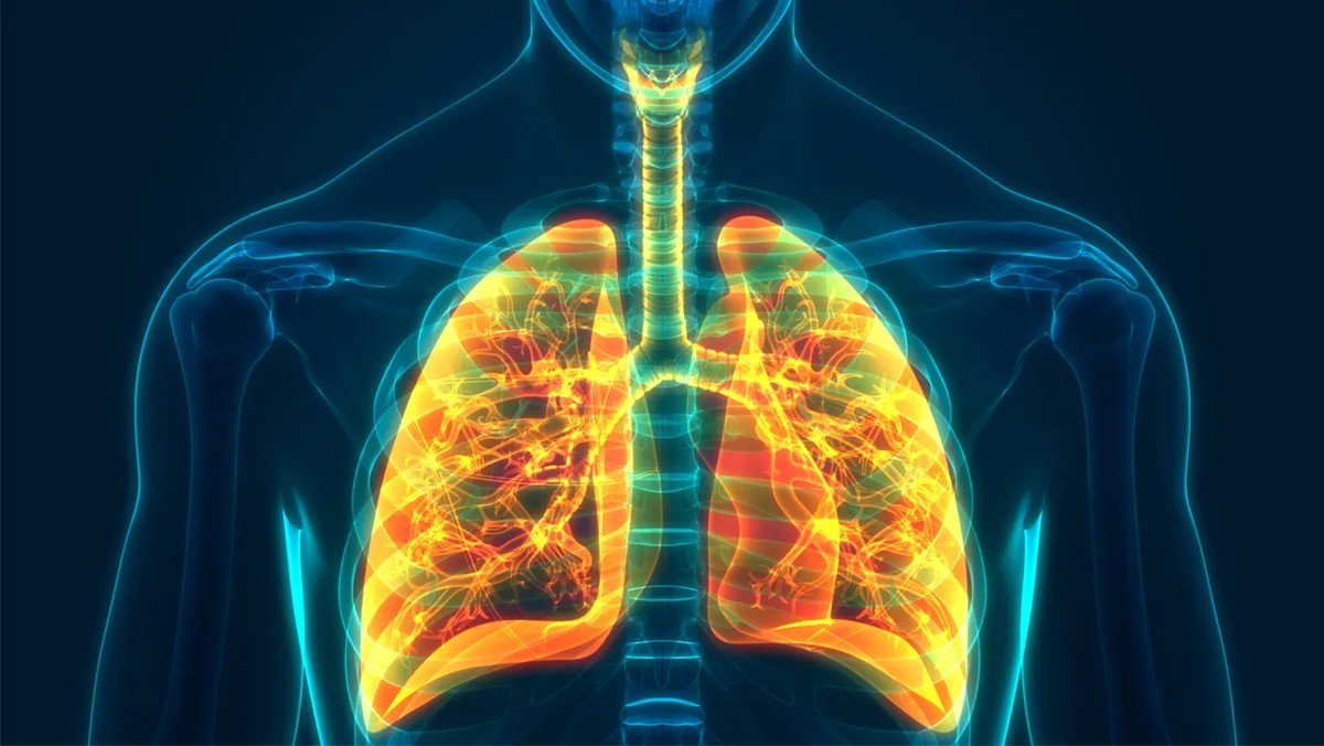 mqtooling's tweet photo. COPD RISK - Certain jobs have an increased risk of workers developing Chronic Obstructive Pulmonary Disease...... https://t.co/KwT41XpWFA.
https://t.co/jqqD8e6WT0
#airbench #dust #fumes #extraction #mist #quaity #composites #cfrp https://t.co/Iad64pLPxs
