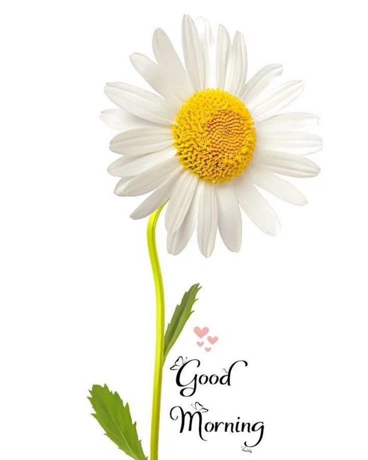 Alok Mohan Kalra tweet media