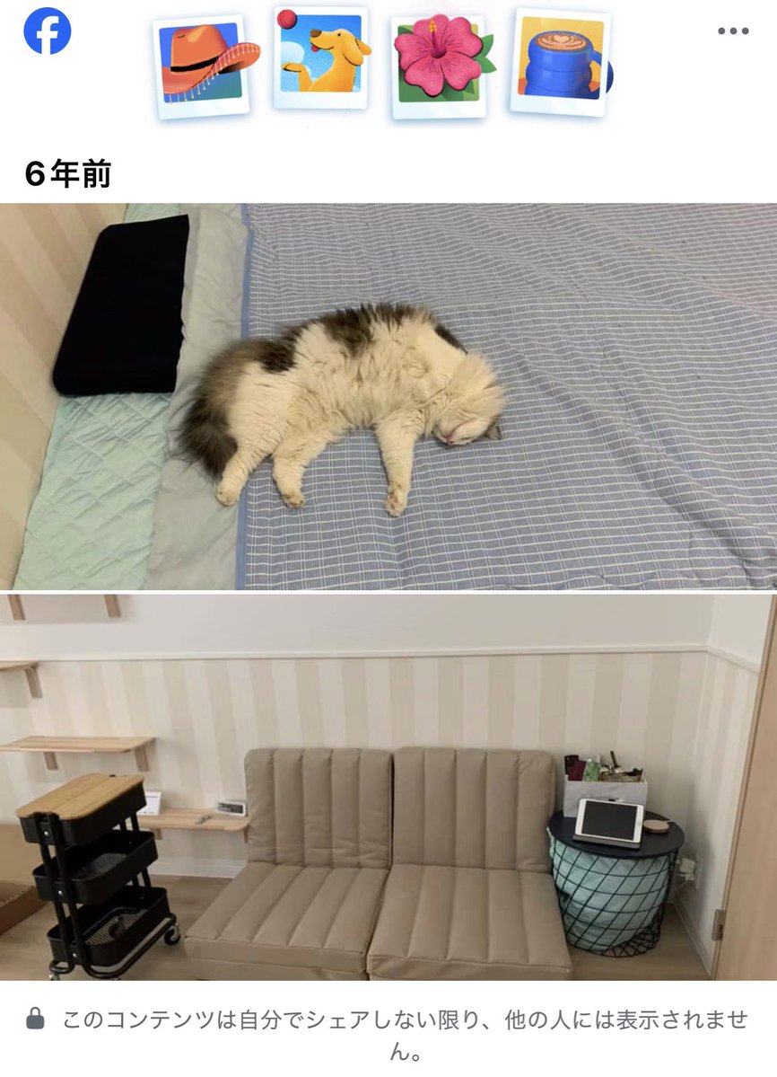 tctominyan's tweet photo. 引っ越し記念日7/3。
1日お家にいました。
スッキリしているー
片付けなければー！ https://t.co/ZaDTbdcrMK