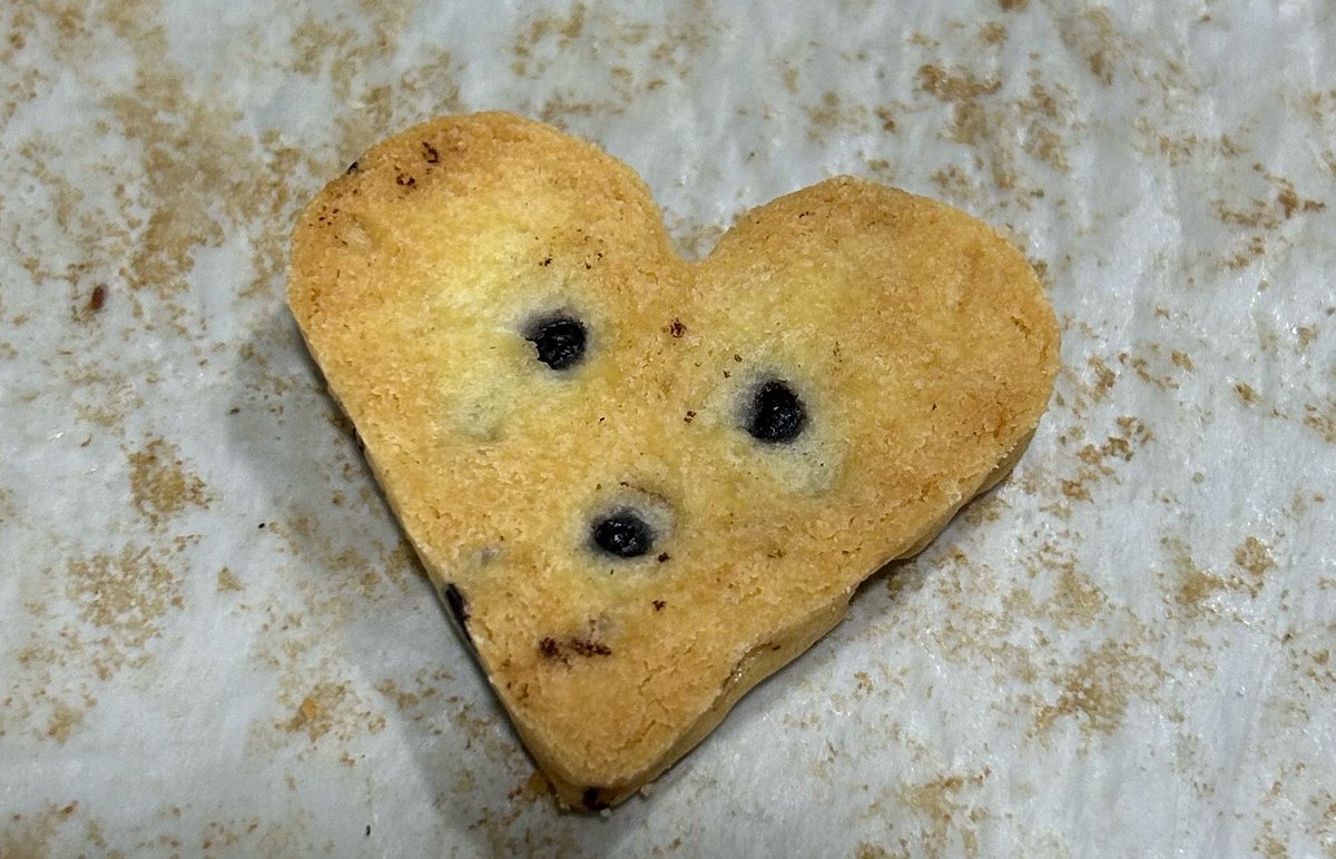 kooremi_'s tweet photo. SALÍ DE LA PEGA COMO ESTÁN??? siento que hoy interactúe mucho ;( 
Galleta tata que encontré en la pastelería https://t.co/40K98eDVoA