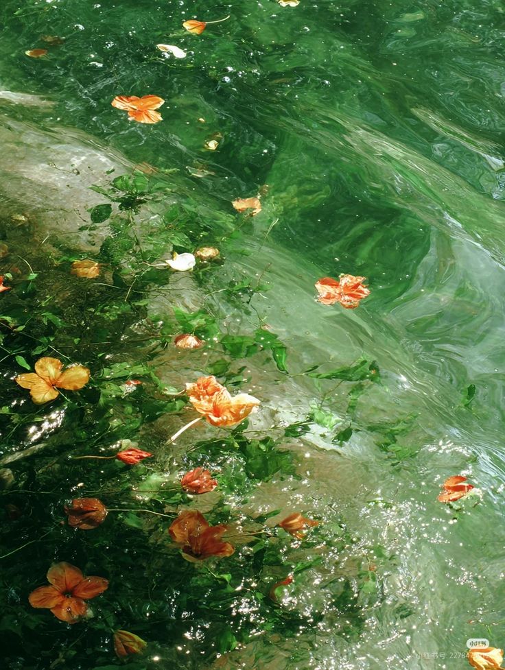 greenvibe's tweet photo. green vibes https://t.co/wHu4qNEzKA