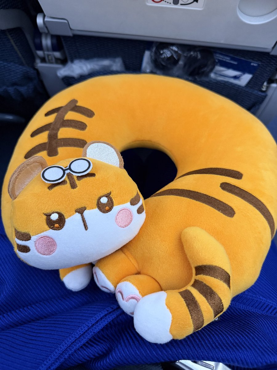 udondon85's tweet photo. 帰ります。
こっち見てる。かわいい https://t.co/UrC0m1taAG