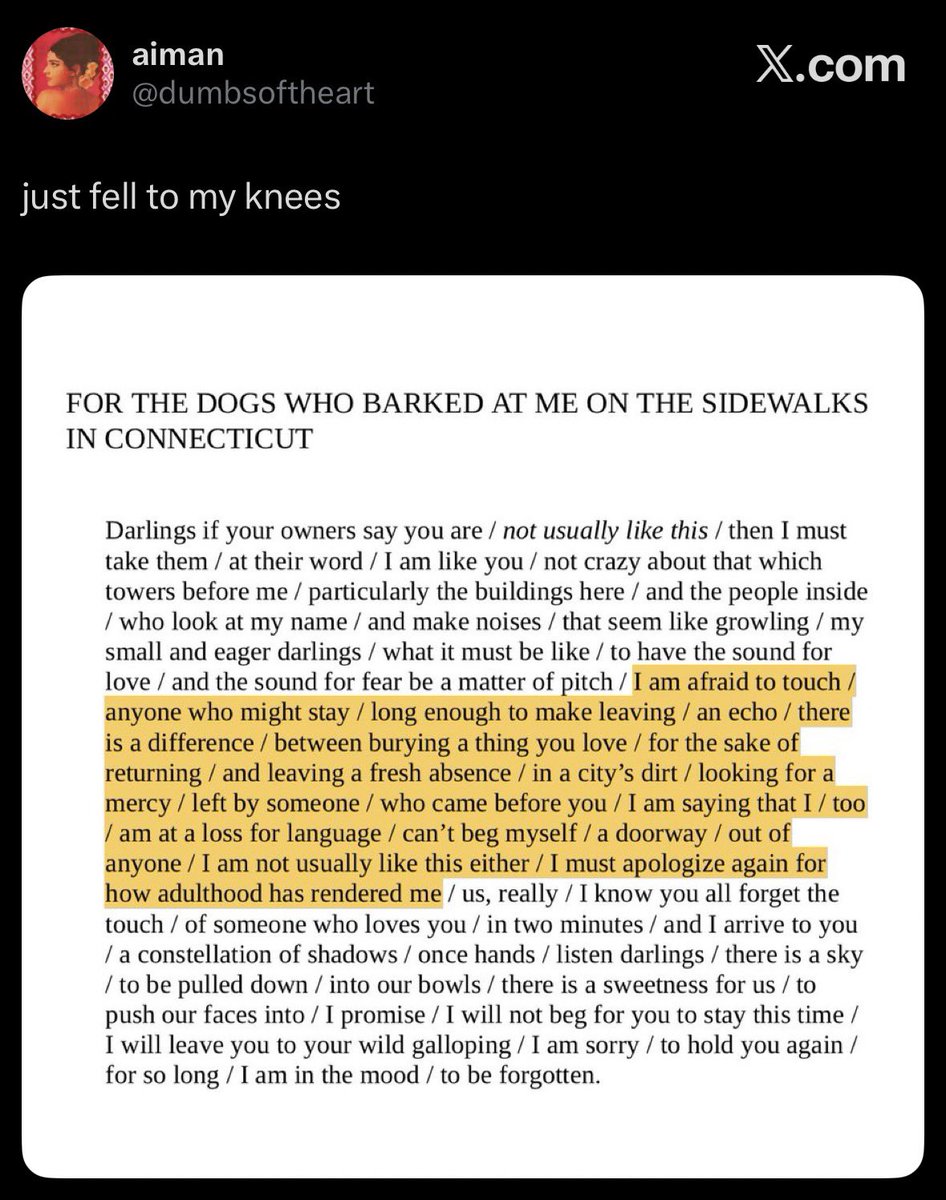 moypha's tweet photo. 1.) from tumblr user thetimewehave
2.) HOW TO BE A DOG by Andrew Kane
3.) Fuck Your Lecture on Craft, My People Are Dying by Noor Hindi
4.) FOR THE DOGS WHO BARKED AT ME ON THE SIDEWALKS IN CONNECTICUT by user dumbsoftheart https://t.co/avxOYXhMt6