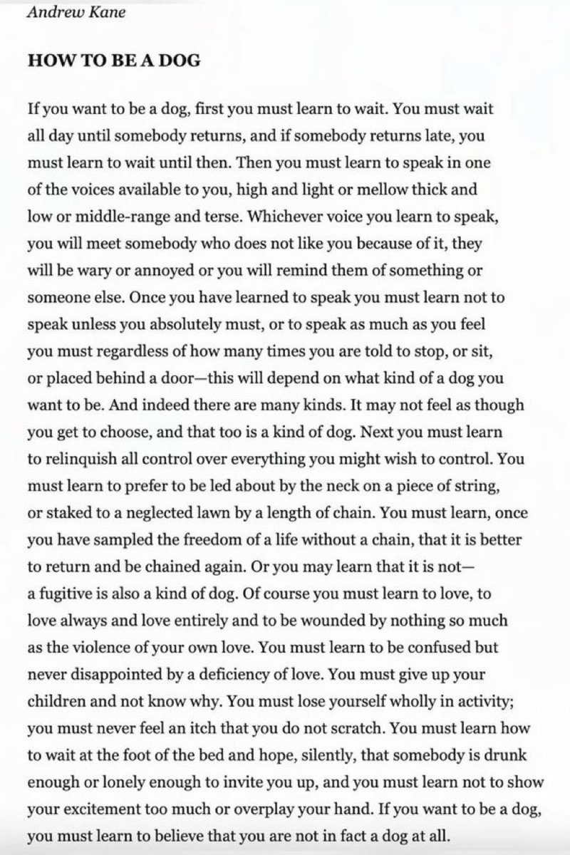 moypha's tweet photo. 1.) from tumblr user thetimewehave
2.) HOW TO BE A DOG by Andrew Kane
3.) Fuck Your Lecture on Craft, My People Are Dying by Noor Hindi
4.) FOR THE DOGS WHO BARKED AT ME ON THE SIDEWALKS IN CONNECTICUT by user dumbsoftheart https://t.co/avxOYXhMt6