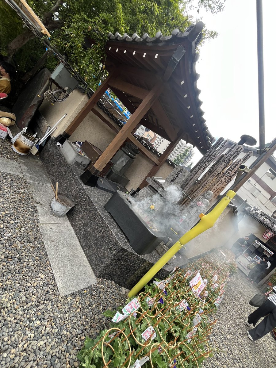 asagaomatsuri's tweet photo. #入谷朝顔まつり 本日より開催しております。
奮ってお越しください。

7月6日・7日・8日開催しております。
朝5:00〜夜22:0.0まで。

#入谷 #朝顔 #朝顔まつり #台東区 https://t.co/7oEXEvxGyq