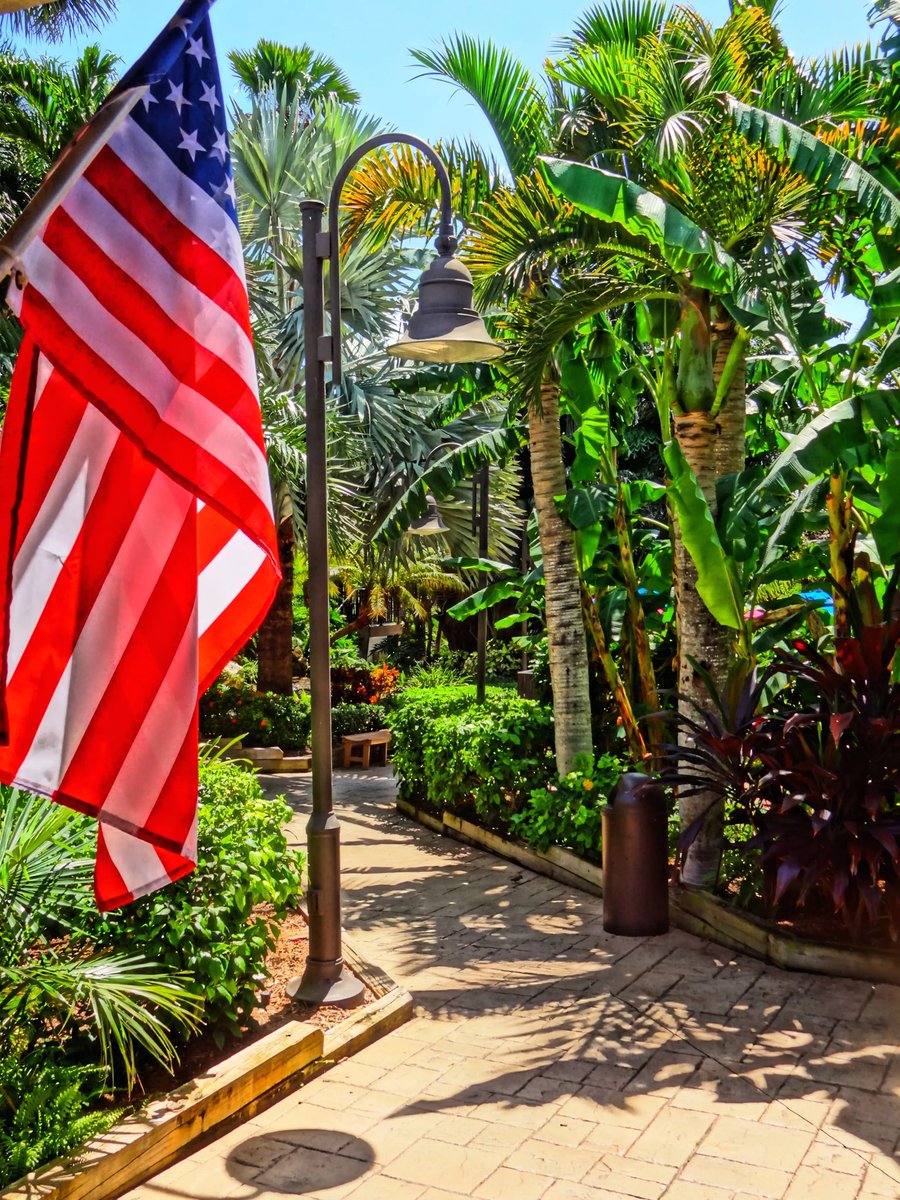 karkfl's tweet photo. @Suzierizzo1 @RickWilson33020 We reclaimed it here in Sanibel. Fuck maga! https://t.co/j7zTU3MjkC