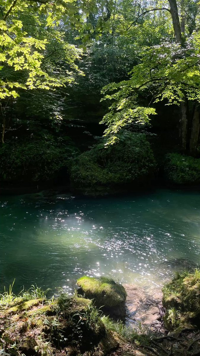 greenvibe's tweet photo. Still waters. https://t.co/4wt6cWZCej