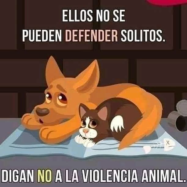 ManuSaenzVolvio's tweet photo. Quien tiene conciencia no puede maltratar a ningún ser! https://t.co/hdj7d3ZXsR
