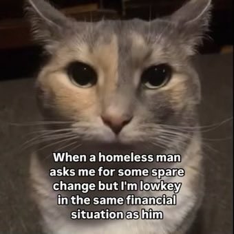 literallymecats's tweet photo. https://t.co/Yky9N20FpO