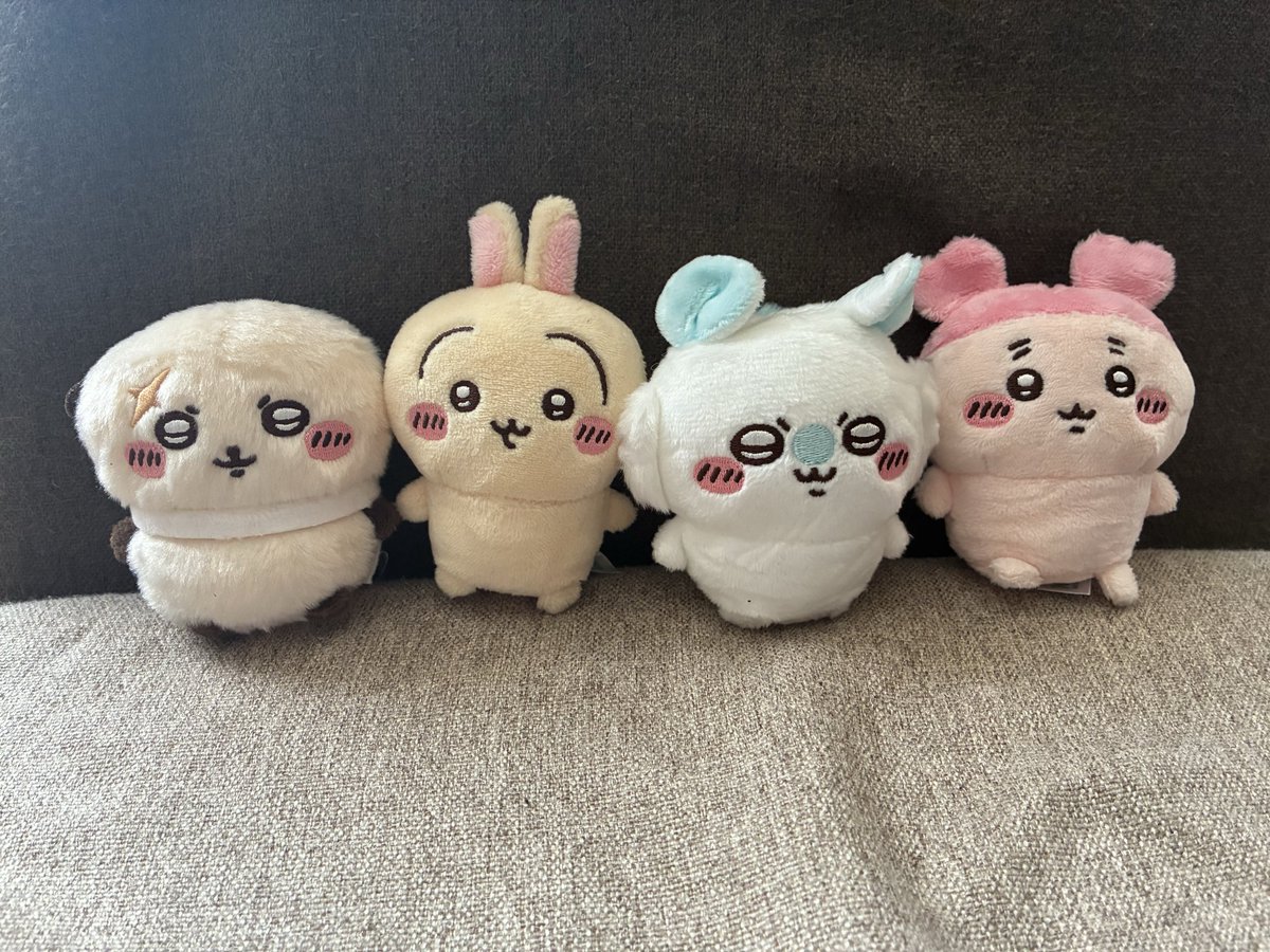 kyu8569's tweet photo. ちい活の戦利品☺️
シールはアクスタ入るiPhoneカバーを注文したので入れる予定🥰
ぬいぐるみの方は前回うさぎとラッコが出てて、今回は古本屋さんとモモンガが出たので被りなしのコンプとなりました🤭
ちなみにモモンガ狙い＋古本屋さん出たら良いなーって思ってたので被りなしだったのは奇跡です✨ https://t.co/uGzkeV4uvB