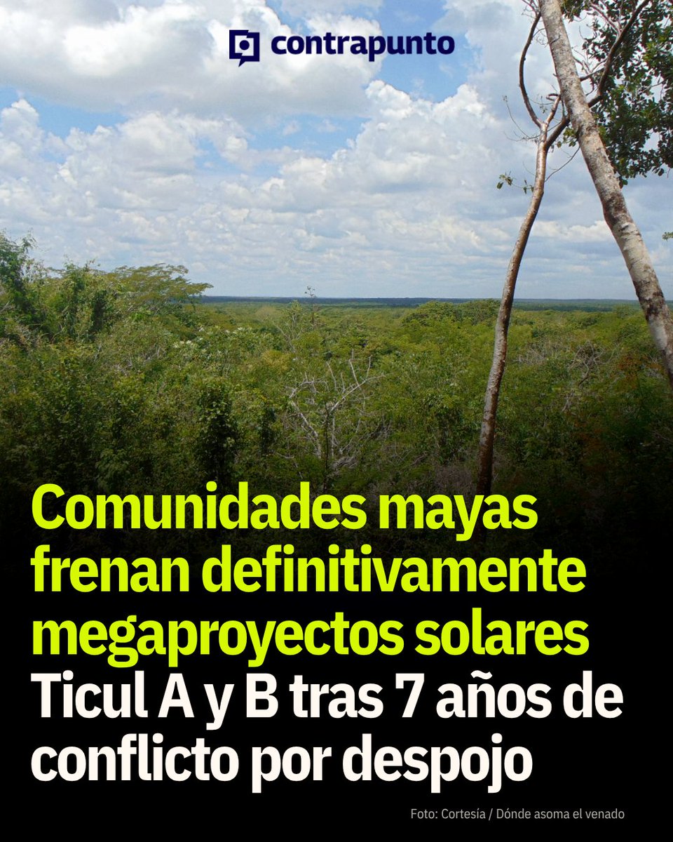 MxContrapunto's tweet photo. ☀️🌿 Tras siete años de conflicto y recursos legales impulsados por comunidades mayas de Yucatán, los megaproyectos fotovoltaicos Ticul A y Ticul B fueron cancelados de manera definitiva. La @SEMARNAT_mx dejó sin efectos las autorizaciones que permitían su desarrollo, poniendo fin a uno de los litigios ambientales más relevantes del sureste del país.

🔗Todos los detalles: https://t.co/bnps65kaED

#AgendaSurSureste #Yucatán #ComunidadesMayas #MedioAmbiente #EnergíaSolar