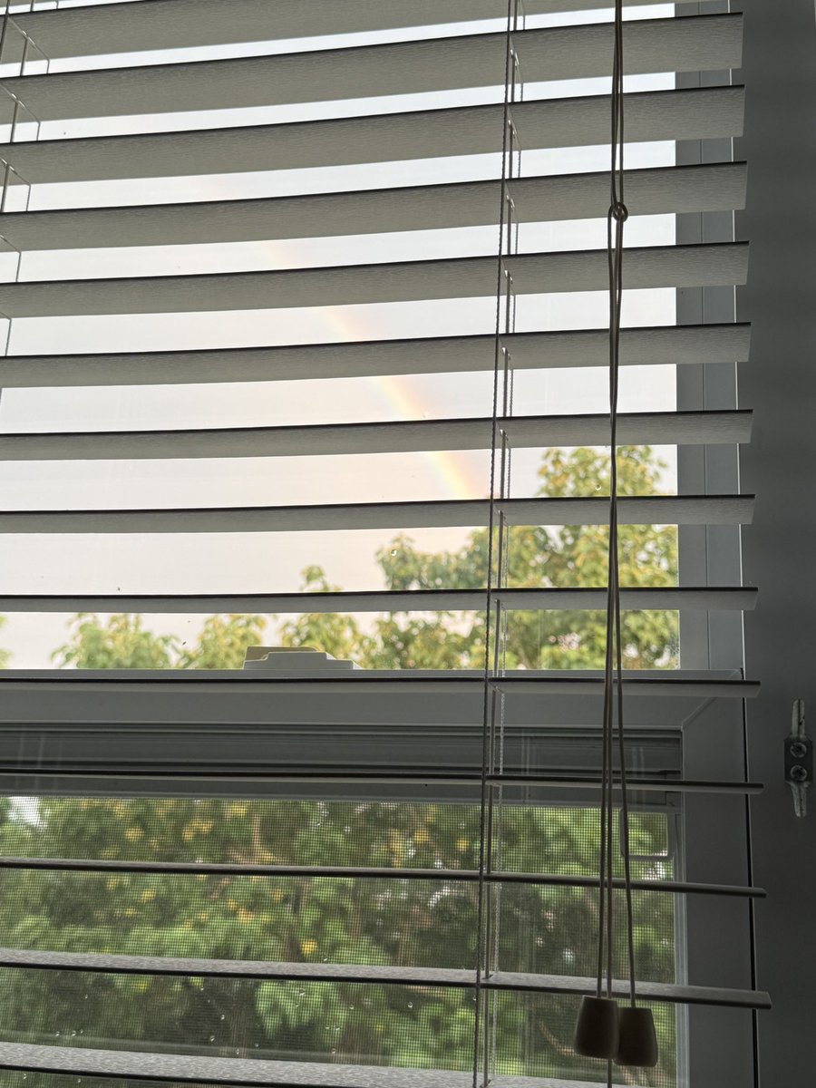 hundi_ad's tweet photo. The rainbow is over my apartment because it knows I’m gay :3 https://t.co/06K6bXEYiu