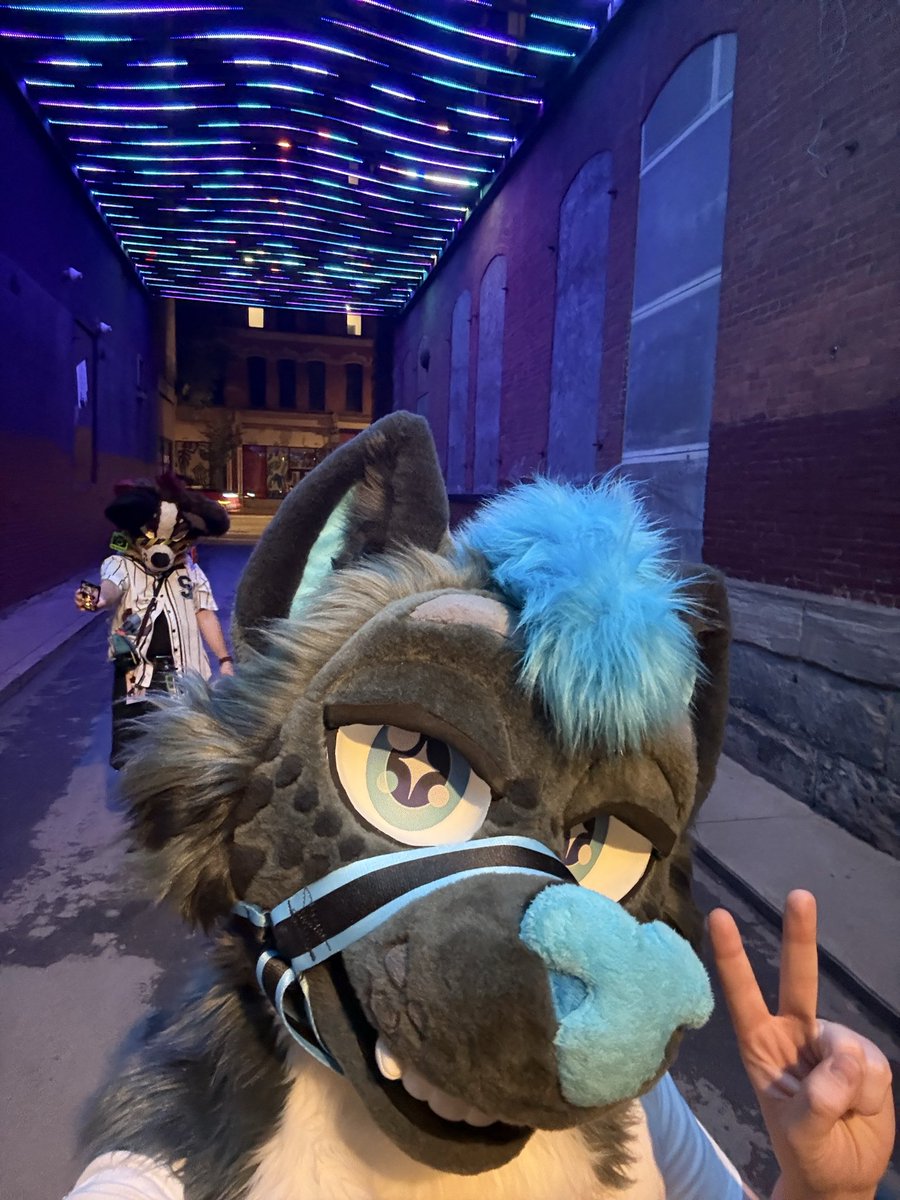 Dark the Wolf🔜IFC Indiana (@dark_beast926) / Posts / X