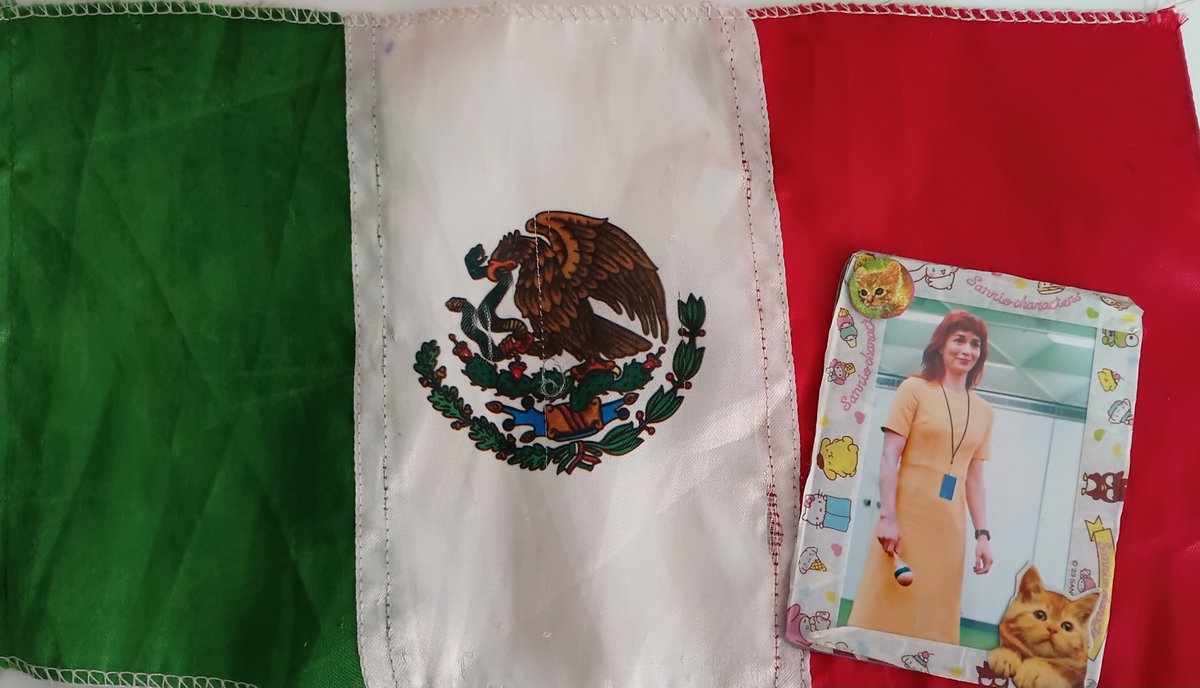 blursmoon's tweet photo. helly is spiritually mexican today 🎉 https://t.co/DCQn4jBlrC