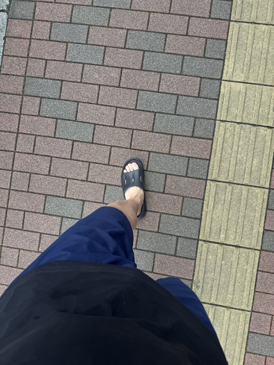 chiikamaSF's tweet photo. 朝さんぽしながらジムに向かう https://t.co/SNAIpxwgev