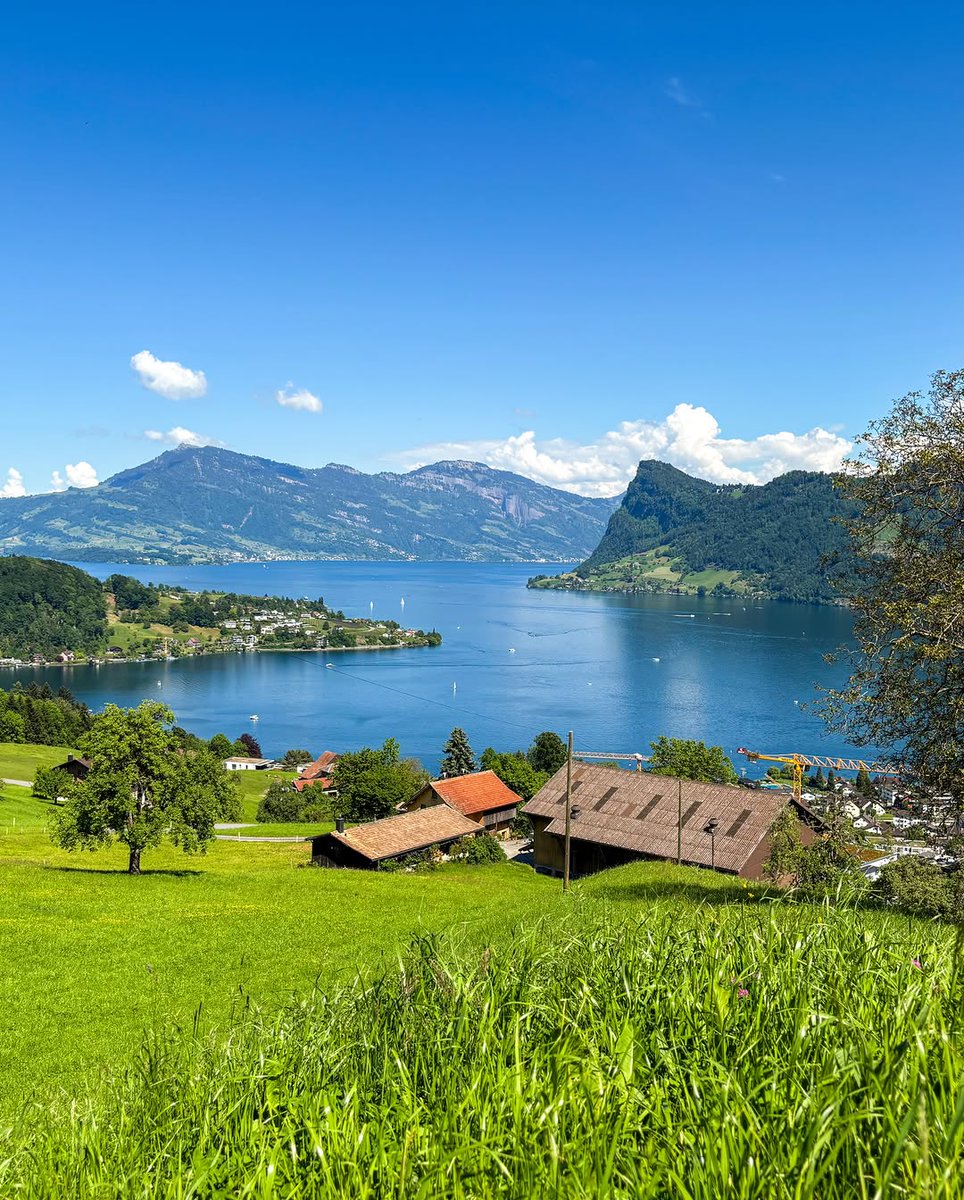 earthwhisperss's tweet photo. Lake view side, Switzerland https://t.co/fvO54MVnfn