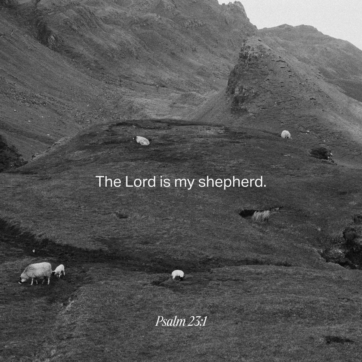 YouVersion's tweet photo. The Lord shepherds you, so peace, provision, and protection are found in Him. https://t.co/vrsRMQmbT9