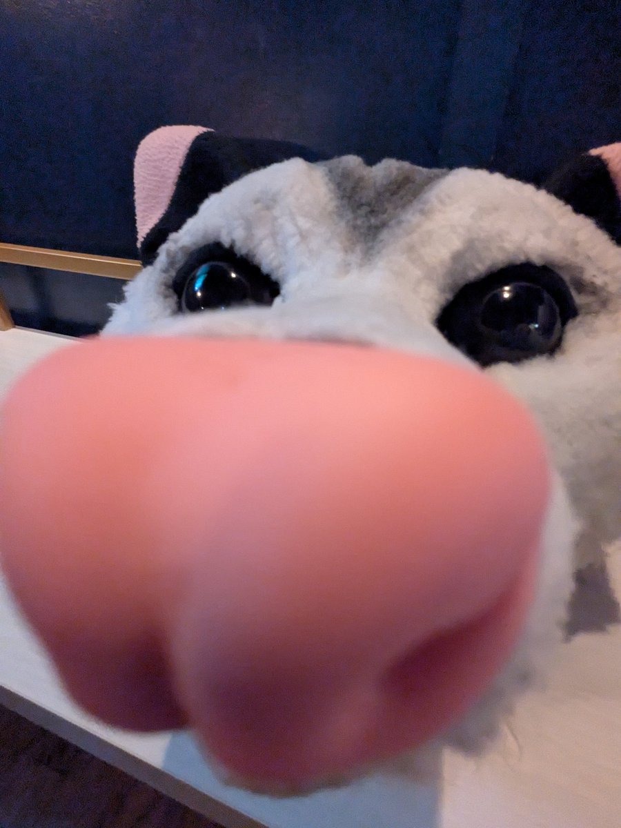 MorkyRoo's tweet photo. Photography is my PASSION 

#anthrocon #AC26 https://t.co/PXPrR0xt9p