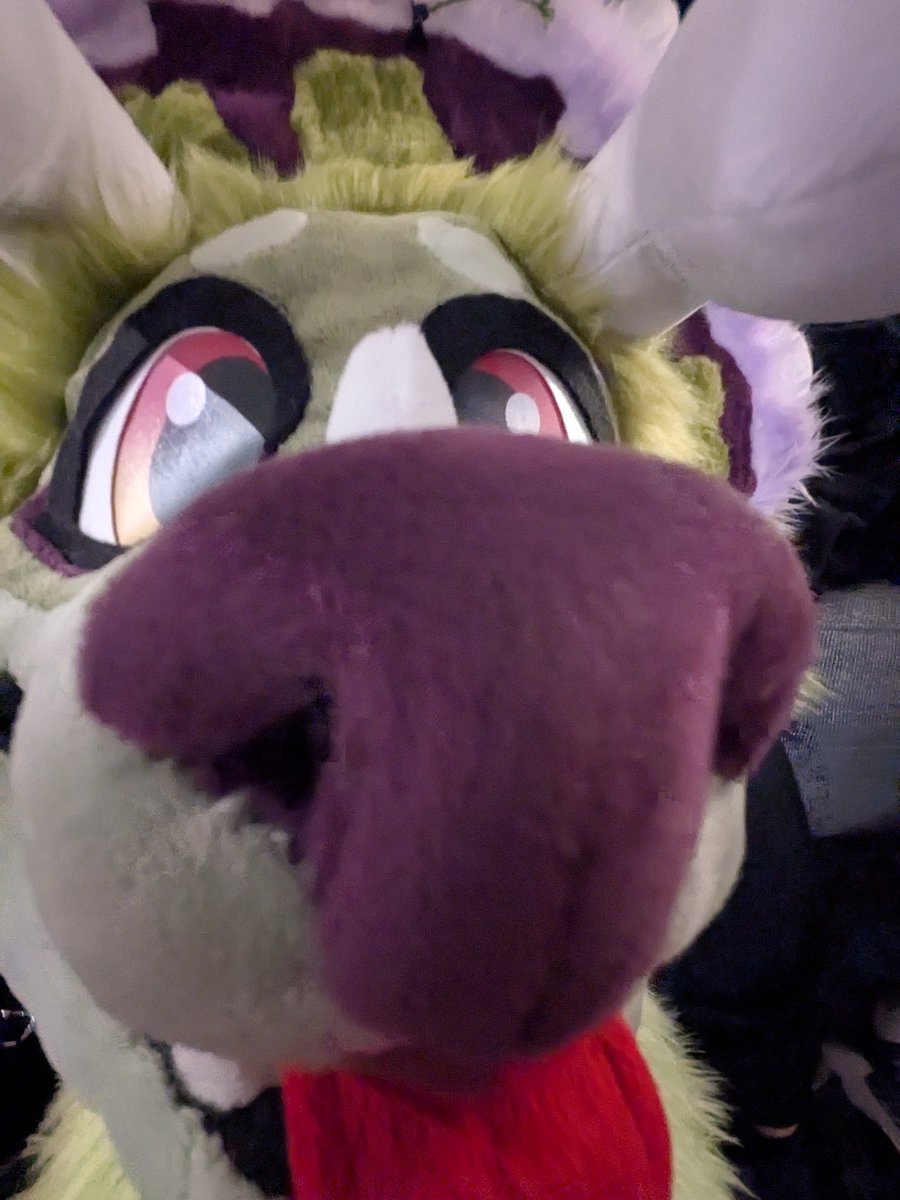 MorkyRoo's tweet photo. Photography is my PASSION 

#anthrocon #AC26 https://t.co/PXPrR0xt9p