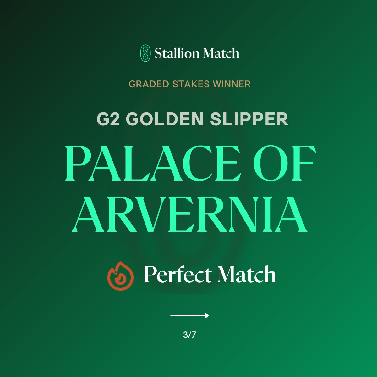 stallionmatch's tweet photo. 18 of 20. 🎯

That's how many of this weekend's Graded &amp; Group stakes winners rated a Perfect Match or 20/20 Match on Stallion Match — the elite ratings clustering in the elite races.

✨ Constitution River, Kensington Lane, Palace Of Arvernia + more 🔗 https://t.co/6jMzCRcvXH https://t.co/cOTWz3jViE