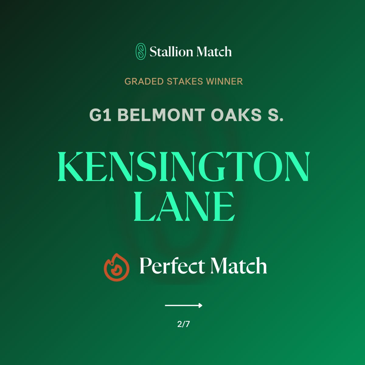 stallionmatch's tweet photo. 18 of 20. 🎯

That's how many of this weekend's Graded &amp; Group stakes winners rated a Perfect Match or 20/20 Match on Stallion Match — the elite ratings clustering in the elite races.

✨ Constitution River, Kensington Lane, Palace Of Arvernia + more 🔗 https://t.co/6jMzCRcvXH https://t.co/cOTWz3jViE