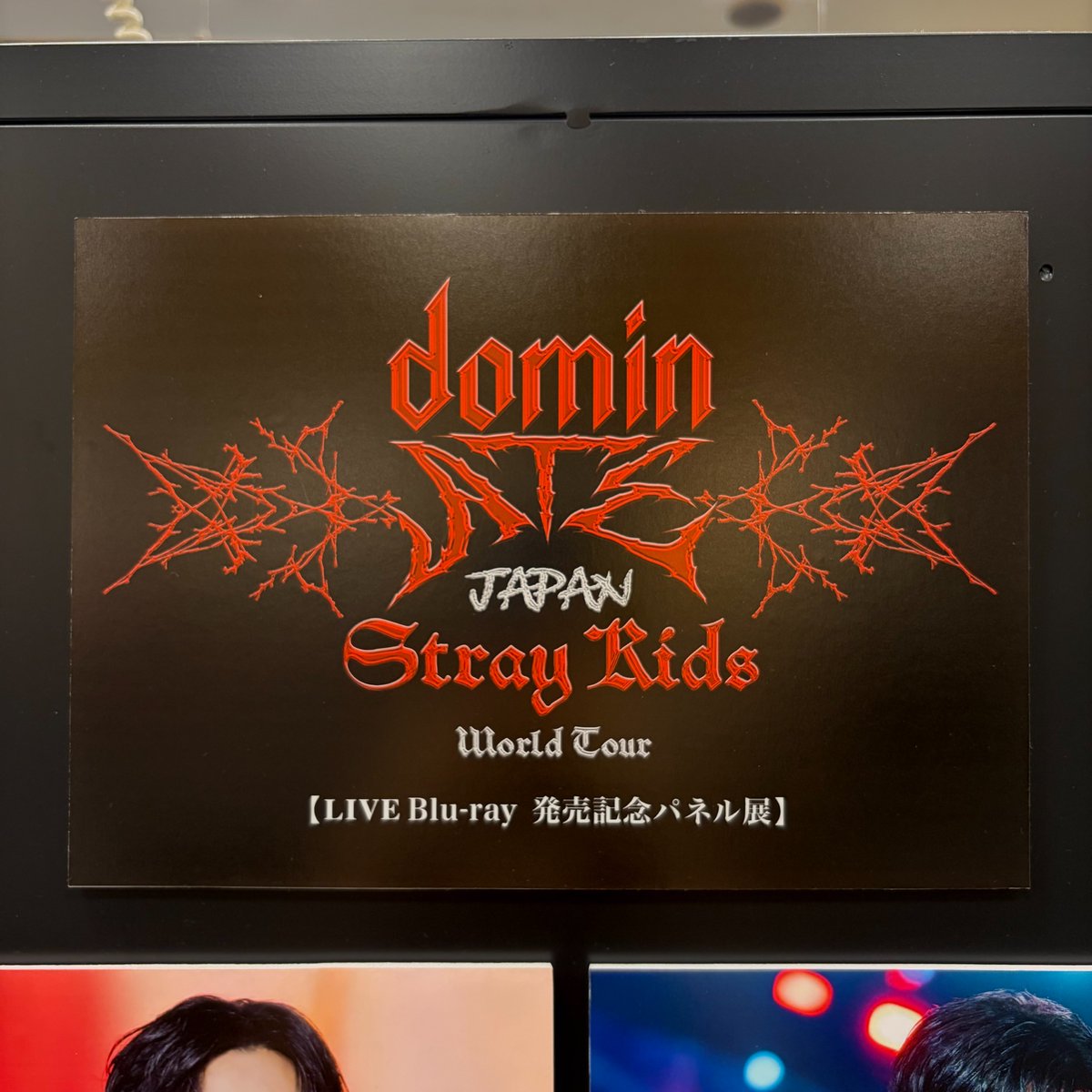 StrayKids】 スキズ最大規模のワールドツアー🌎 静岡エコパスタジアム