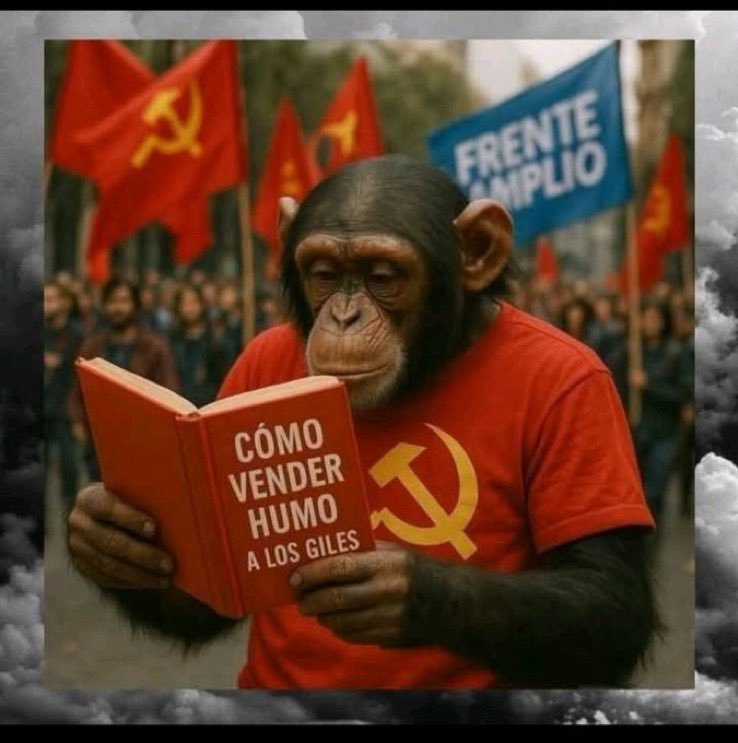 Feña tweet media